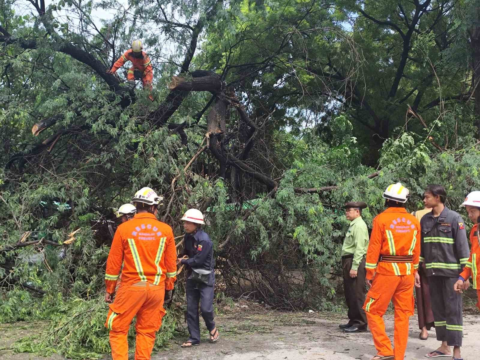မြင်းခြံမြို့အတွင်းရှိ ရပ်ကွက်များ၌ မိုးသည်း ထန်စွာရွာသွန်းခြင်း၊ လေပြင်းတိုက်ခတ်ခြင်းကြောင့် သစ်ပင်များနှင့် ဓါတ်တိုင်များလဲကျနေမှု အခြေအနေအား ကြည့်ရှုစစ်ဆေး