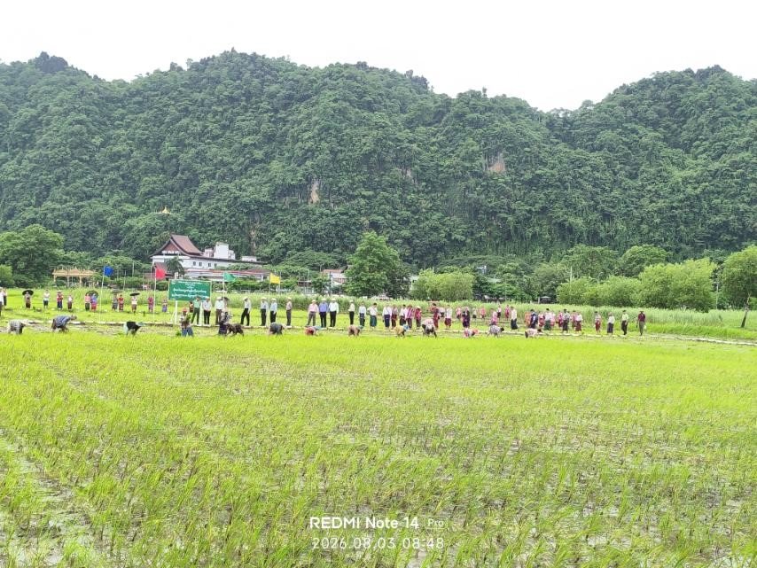 News Photo