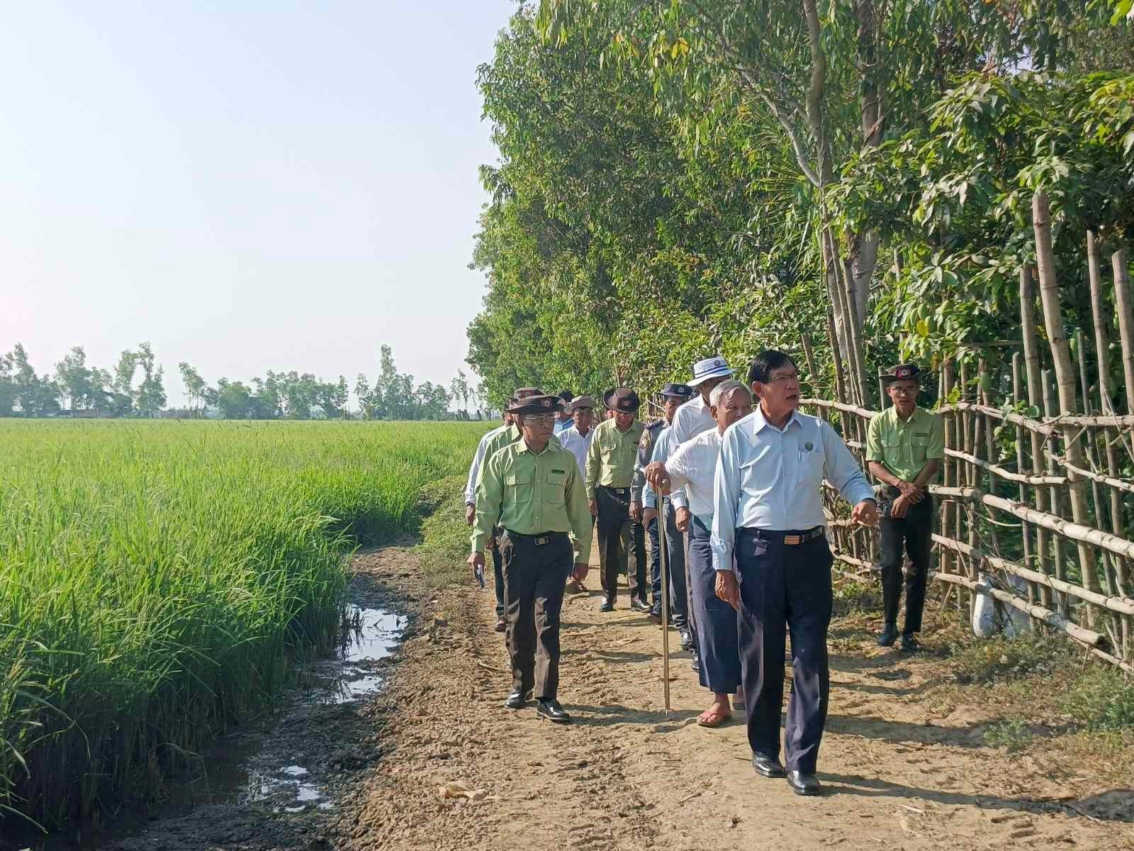 ရန်ကုန်တိုင်းဒေသကြီး၊ တွံတေးခရိုင်၊ ကွမ်းခြံကုန်းမြို့နယ်၊ ဝါးကောက်တောကျေးရွာအုပ်စု၊ ဝါးကောက်တောကျေးရွာ၌ နွေစပါး ၃၀ ဧက စံပြကွက်အောင်မြင်ဖြစ်ထွန်းနေမှုအခြေအနေများအား ကွင်းဆင်းစစ်ဆေး