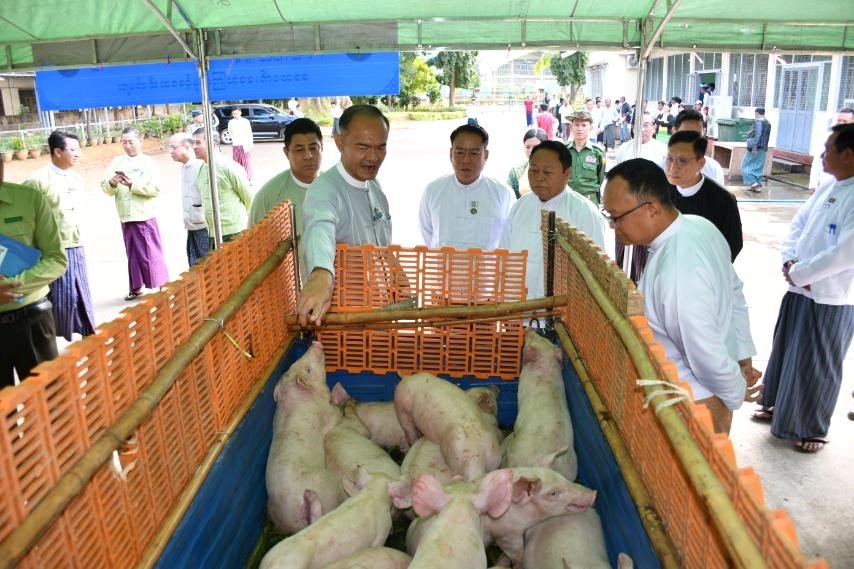 News Photo