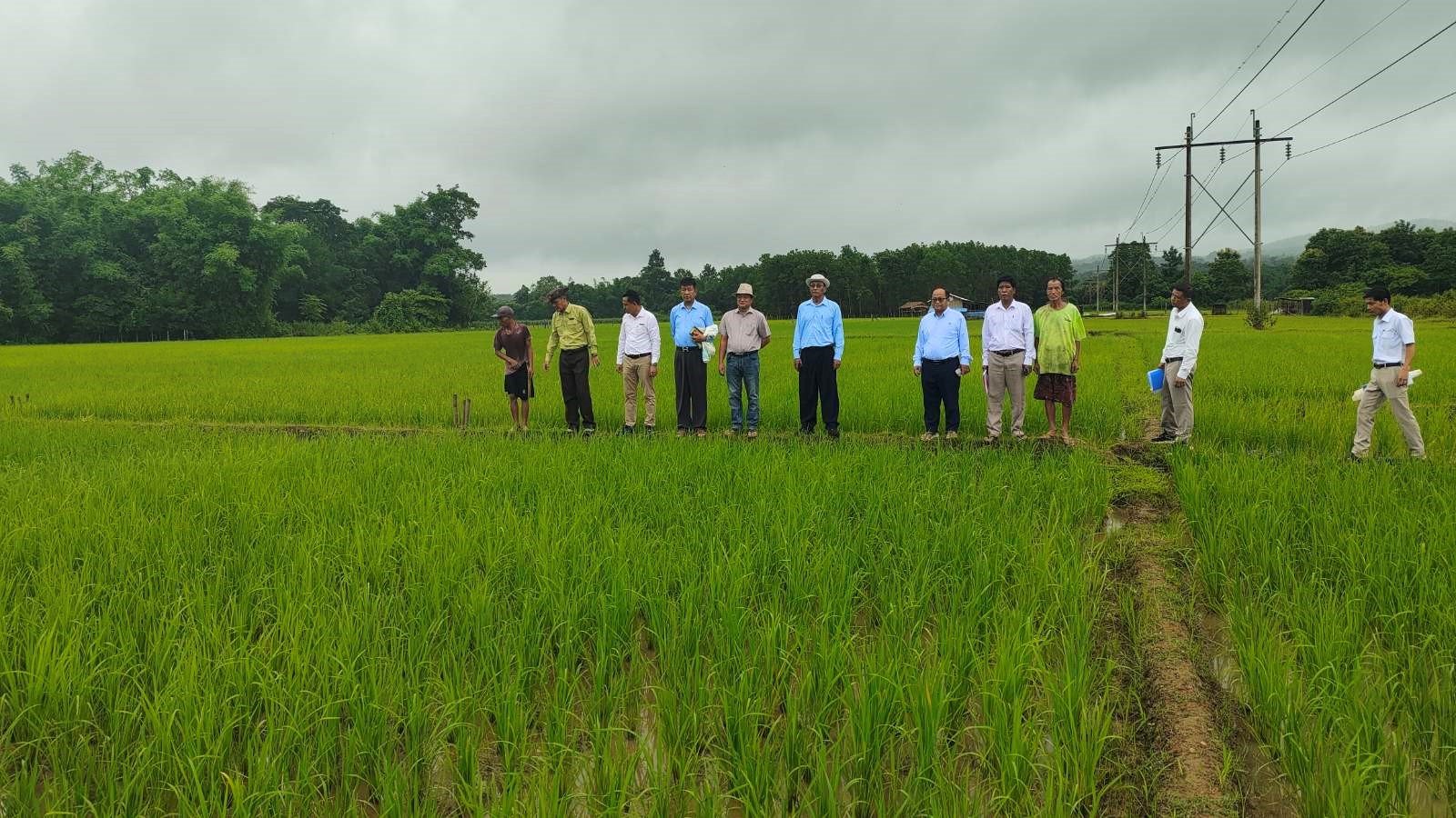Conducted a field inspection of monsoon paddy cultivation in Palana Village Tract, Myitkyina Township, Myitkyina District, Kachin State, to ensure full coverage of the targeted monsoon paddy acreage.
