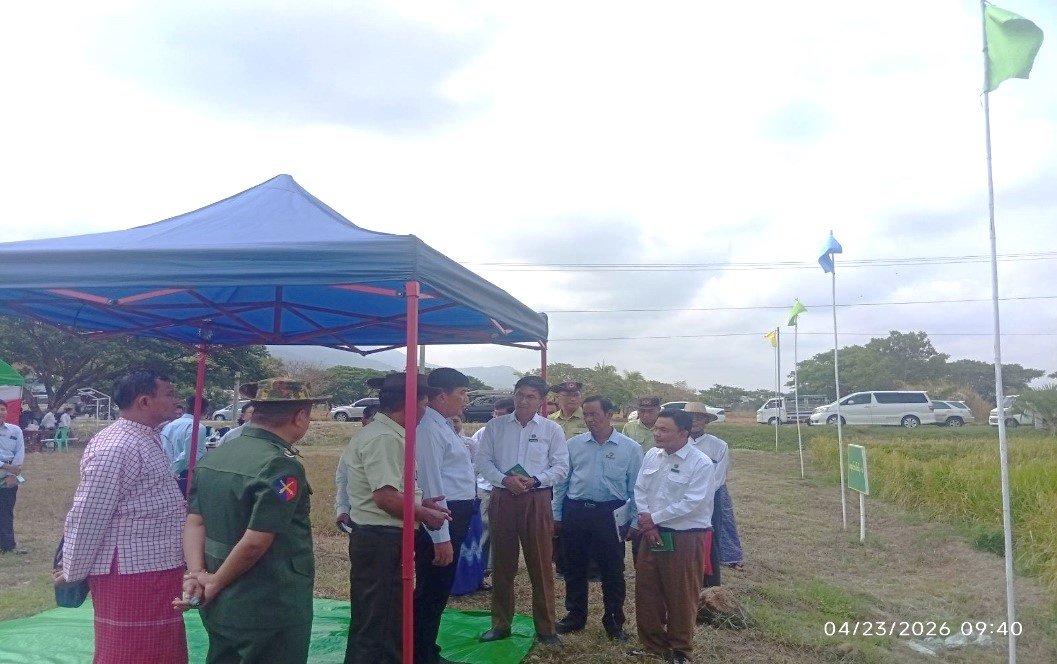 မွန်ပြည်နယ်၊ သထုံခရိုင်၊ ပေါင်မြို့နယ်၊ ဖြူဘကျေးရွာအုပ်စု၊ ကွင်းအမှတ် (၇၇၂)၊ တောင်သူဦးသန်းထွန်း၏ လယ်မြေ၌ ကျင်းပပြုလုပ်သည့် ရေဆင်းပေါ်ဆန်း(၁၊ ၂) စပါးမျိုးသစ်များ ဒေသနှင့်ကိုက်ညီမှုရှိ/မရှိ စမ်းသပ်စိုက်ခင်း ကွင်းသရုပ်ပြပွဲသို့ တက်ရောက်