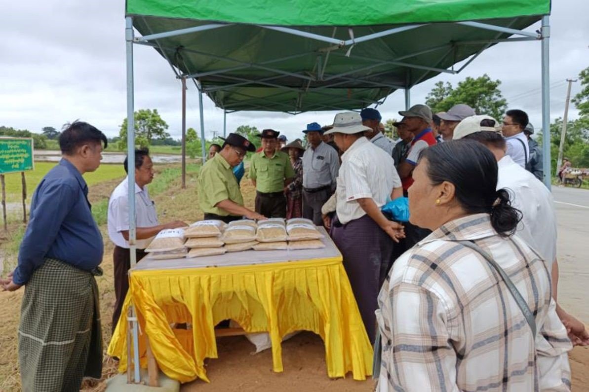 ပဲခူးတိုင်းဒေသကြီး၊ တောင်ငူခရိုင်၊ တောင်ငူမြို့နယ်၊ ငါးဖယ်အင်းကျေးရွာအုပ်စု၌ ပေါ်ကျွဲမွှေးမျိုးစပါး ပျိုးထောင်စိုက်ပျိုးခြင်းကွင်းသရုပ်ပြပွဲအခမ်းအနားသို့ တက်ရောက်